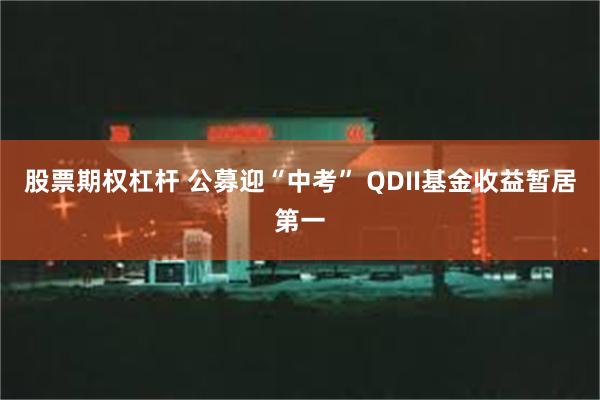 股票期权杠杆 公募迎“中考” QDII基金收益暂居第一