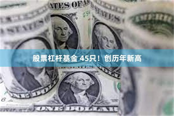 股票杠杆基金 45只！创历年新高