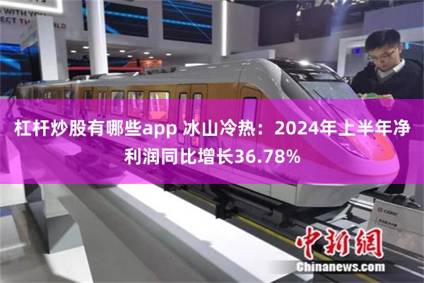 杠杆炒股有哪些app 冰山冷热：2024年上半年净利润同比增长36.78%