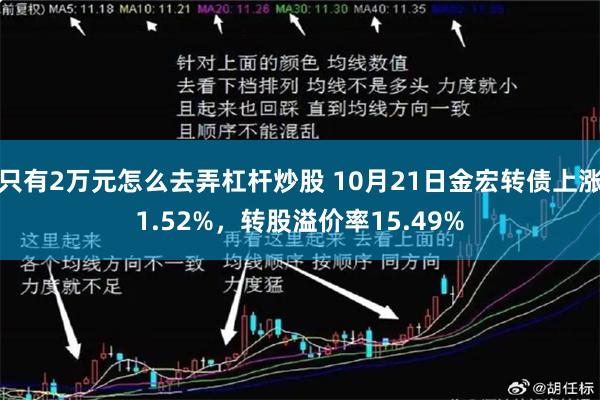 只有2万元怎么去弄杠杆炒股 10月21日金宏转债上涨1.52%，转股溢价率15.49%