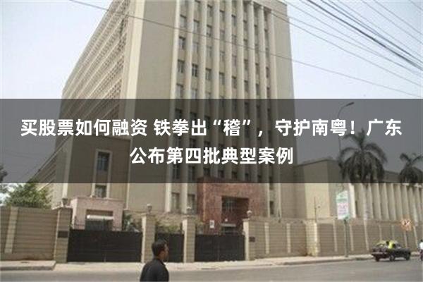 买股票如何融资 铁拳出“稽”，守护南粤！广东公布第四批典型案例