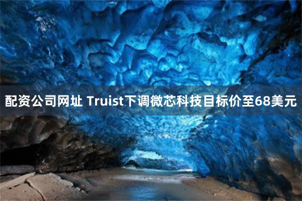 配资公司网址 Truist下调微芯科技目标价至68美元