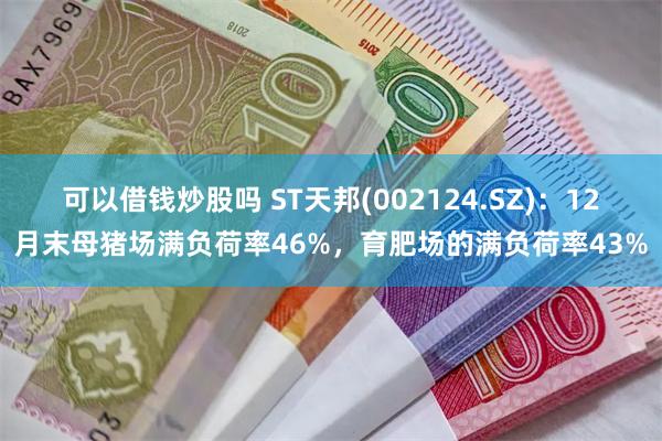 可以借钱炒股吗 ST天邦(002124.SZ)：12月末母猪场满负荷率46%，育肥场的满负荷率43%