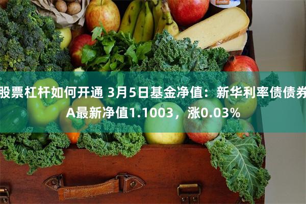 股票杠杆如何开通 3月5日基金净值：新华利率债债券A最新净值1.1003，涨0.03%